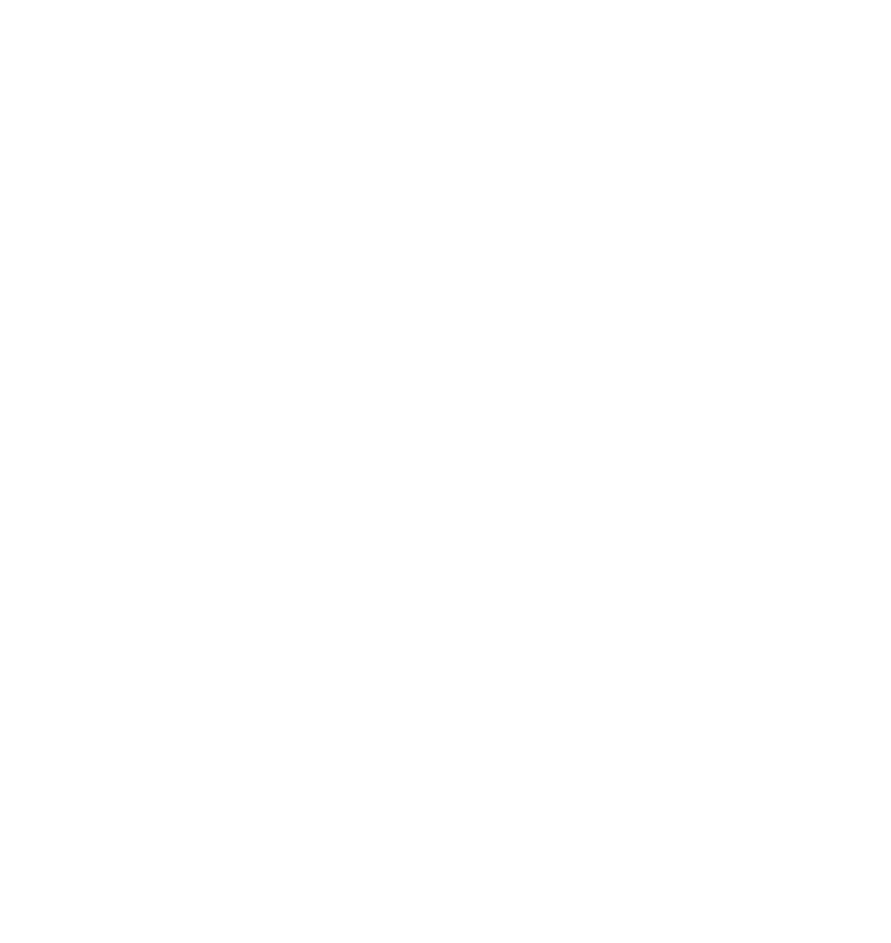 OA Nail System